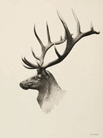 Mountain Reindeer Fine Art Print