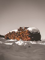 Logs in Snow Fine Art Print