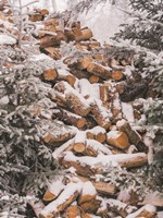 Winter Wood Pile Fine Art Print