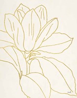 Gold Magnolia Line Drawing v2 Crop Framed Print