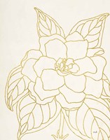 Gold Gardenia Line Drawing Crop Fine Art Print