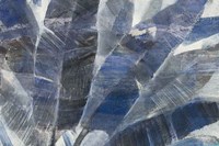 Twilight Palms Fine Art Print