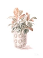 Modern Flora II Framed Print