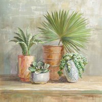 Indoor Garden Fine Art Print