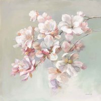Sugar Magnolia Fine Art Print