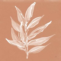 Leaf Study IV Pheasant Framed Print