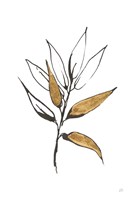 Leafed VI Framed Print