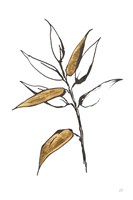 Leafed V Framed Print