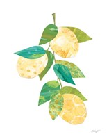 Summer Lemons II Fine Art Print