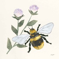In the Garden Bee Framed Print