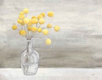 Cheerful Craspedia Fine Art Print