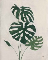 Palm Botanical I Framed Print