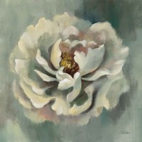 Dancing Petals Fine Art Print