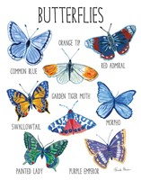 Nature Chart II Fine Art Print