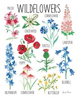 Nature Chart I Fine Art Print