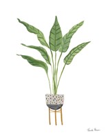 Green House Plants III Fine Art Print