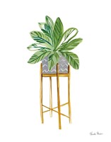 Green House Plants I Fine Art Print