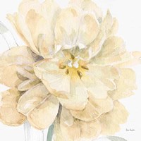 Spring Meadow V Cream Fine Art Print