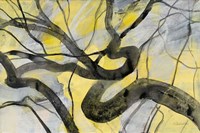 Twisted Fine Art Print