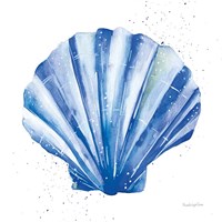 Scallop Shell Sq Fine Art Print