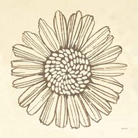 Farmhouse Sunflower Fine Art Print