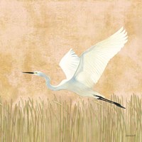 Egret Alighting II Flipped Fine Art Print