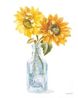 Fresh Cut Sunflowers I Fine Art Print