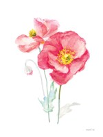 Color of Spring III Framed Print