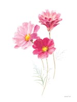 Color of Spring II Framed Print