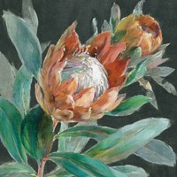 Deep Tropical Protea Crop Fine Art Print