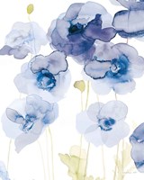 Delicate Poppies III Blue Fine Art Print