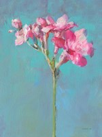 Modern Freesia I Fine Art Print