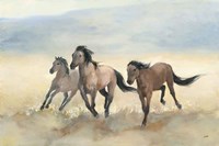 Wild Mustangs Fine Art Print