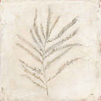 Plantlife I Framed Print