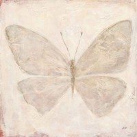 Fragility II Framed Print