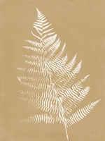 Nature by the Lake Ferns VI Brown Fine Art Print