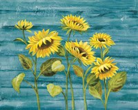 Cottage Sunflowers Teal Fine Art Print
