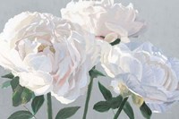 Essence of June I Gray Fine Art Print