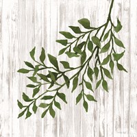 Leaves on White Framed Print