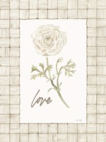 Love Flower Fine Art Print