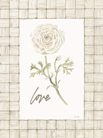 Love Flower Framed Print