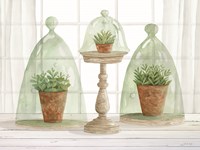 Garden Cloche Trio I Fine Art Print