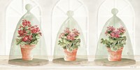 Garden Cloche Trio II Fine Art Print