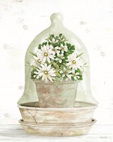 Floral Cloche II Fine Art Print