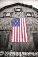 Red, White & Blue Fine Art Print