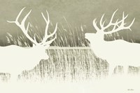 Elk Silhouettes Fine Art Print