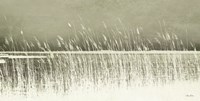 Beach Grass Fine Art Print