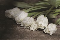 Gathered Tulips Fine Art Print