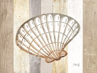 Coastal Shell II Fine Art Print