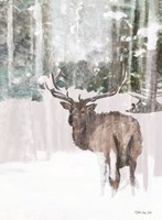 Grand Elk 2 Fine Art Print